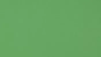 Summer Season Summer Season