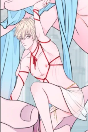 Lecciones para tu mascota Humana